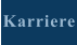 Karriere